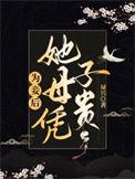 为妾后她母凭子贵 沈倾意