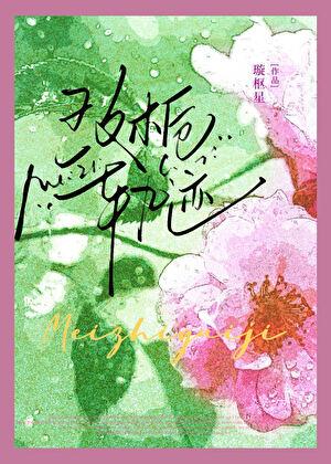 玫栀轨迹璇枢大结局是什么