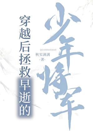 穿越拯救国家的