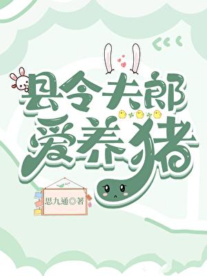 县令夫君