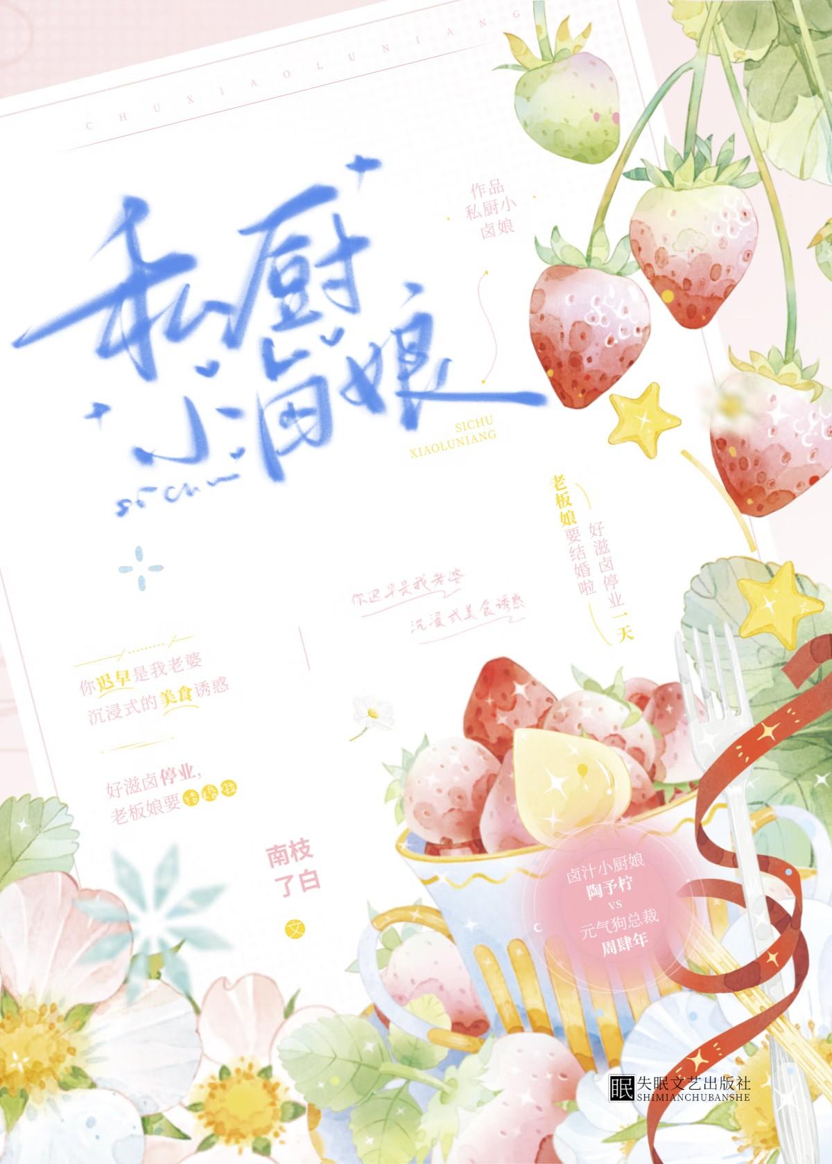 私厨小卤娘作者南枝了白