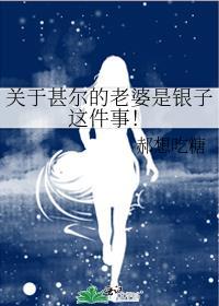关于甚尔的老婆是银子这件事TXT