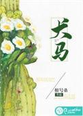 龙虎战边关打一生肖