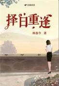择日重逢十夜灯全文阅读