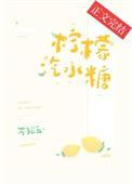 柠檬汽水糖番外txt