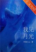 我见月光免费阅读