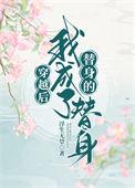 穿越后我成了替身txt