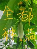 修真界都把我当团宠