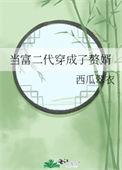 当富二代穿成了赘婿txt