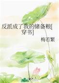 反派都成了我的备胎txt