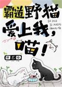 霸道总裁爱上猫女
