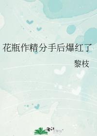花瓶女友是什么意思