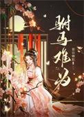 驸马难为txt