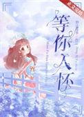 等你入怀在线阅读