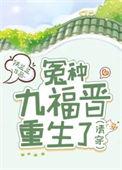 清穿九福晋的文