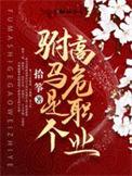 驸马是个高危职业书评