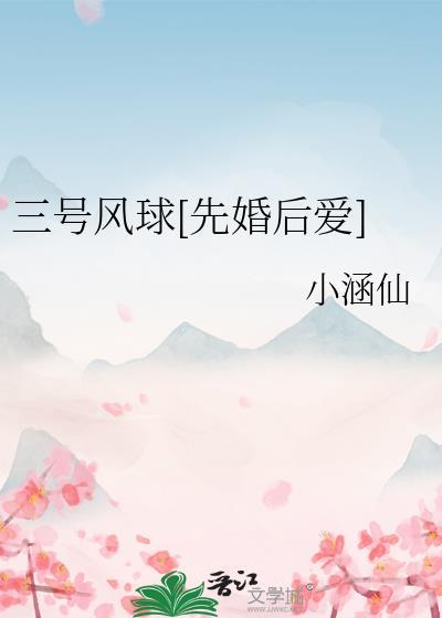 三号风球有多大