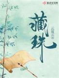 藏珠无防盗