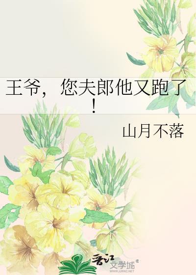 夫人又败家了