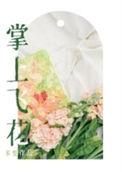 掌上花借款app官方