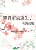 重生知青要复婚