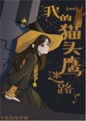 我的猫头鹰迷路了在线阅读