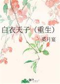 白衣天子作者简介