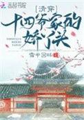 清穿文推荐十四爷