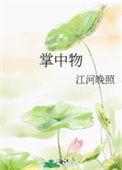 掌中物周回林书意