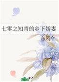 七零知青下乡空间