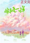 像风一样歌曲