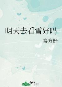 明天去看雪好吗简介