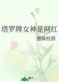 塔罗牌比较准的博主