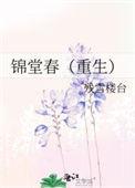 锦堂春宴免费阅读全文