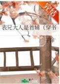 表兄大人是首辅妈妈网