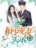 重生九零恒少的宠妻实录有声