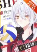 综排球all