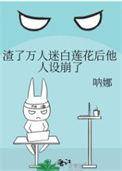 渣掉万人迷女主后我哭了