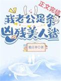 老公是我黑粉全文免费阅读
