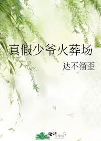 真假少爷火葬场II免费阅读