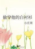 偷穿他的白衬衫小