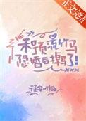 和顶流影帝离婚后格格党
