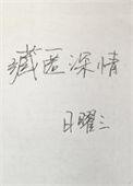 藏匿深情日曜三全文阅读
