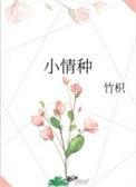 小情种是什么意思