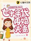 七十年代再婚夫妻TXT