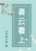 青云妻上 作者月半要分家