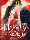 陆少宠妻太甜蜜 全文免费