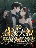 闪婚大叔了解一下