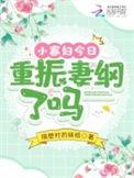 小寡妇娇宠日常