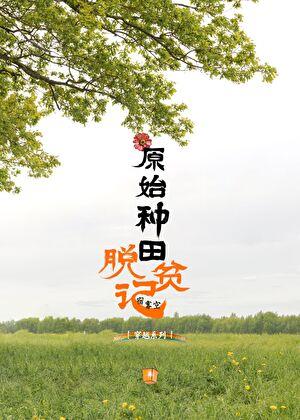 好看的原始种田类